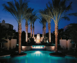 Hyatt-Palms2